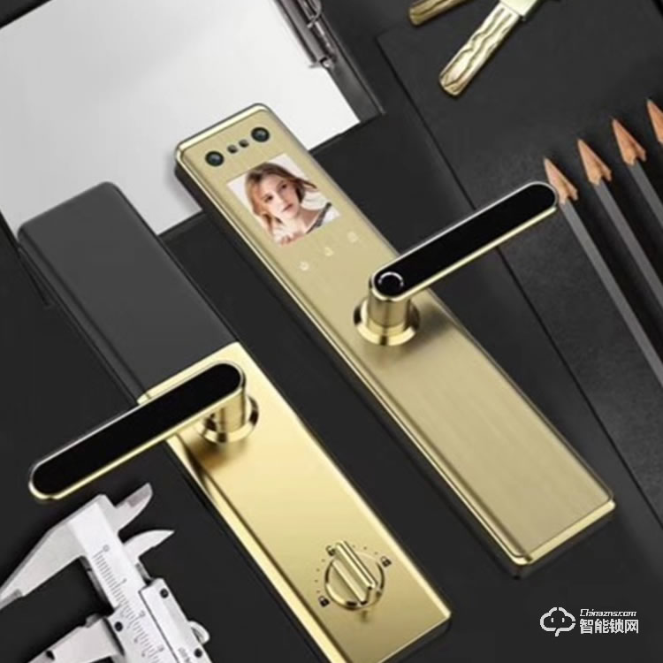 欧瑞佳全自动人脸识别锁 G1红外感应 自动开门